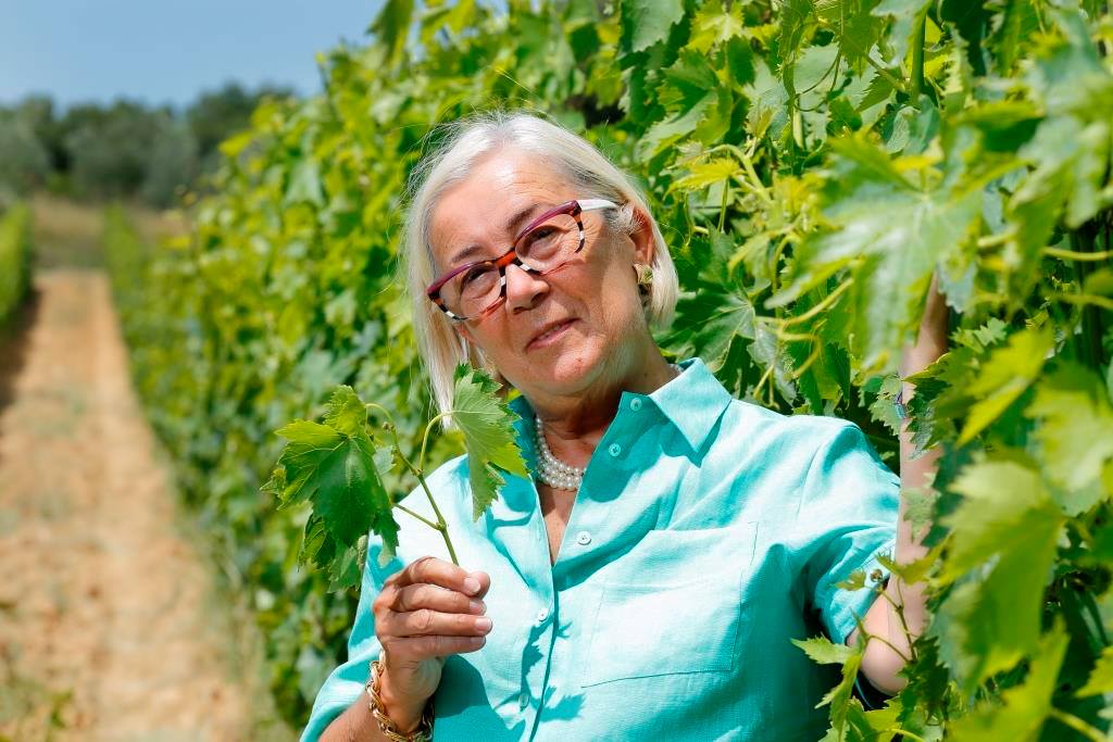 Donatella Cinelli Colombini