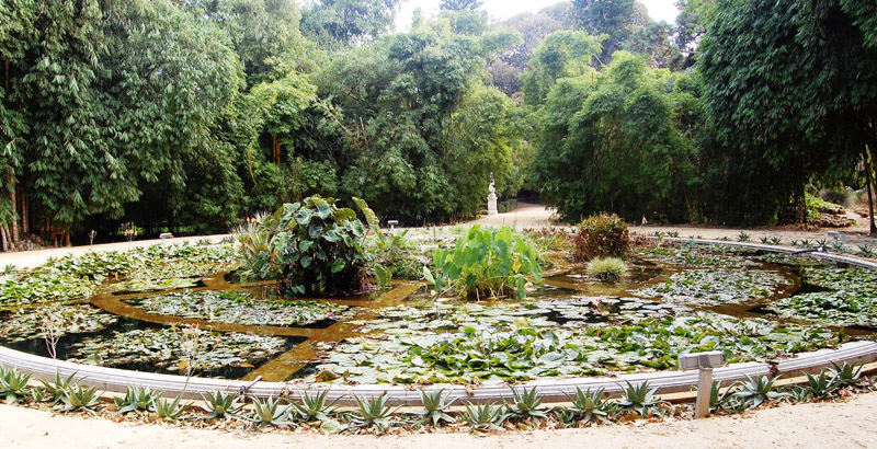 L'Orto botanico di Palermo