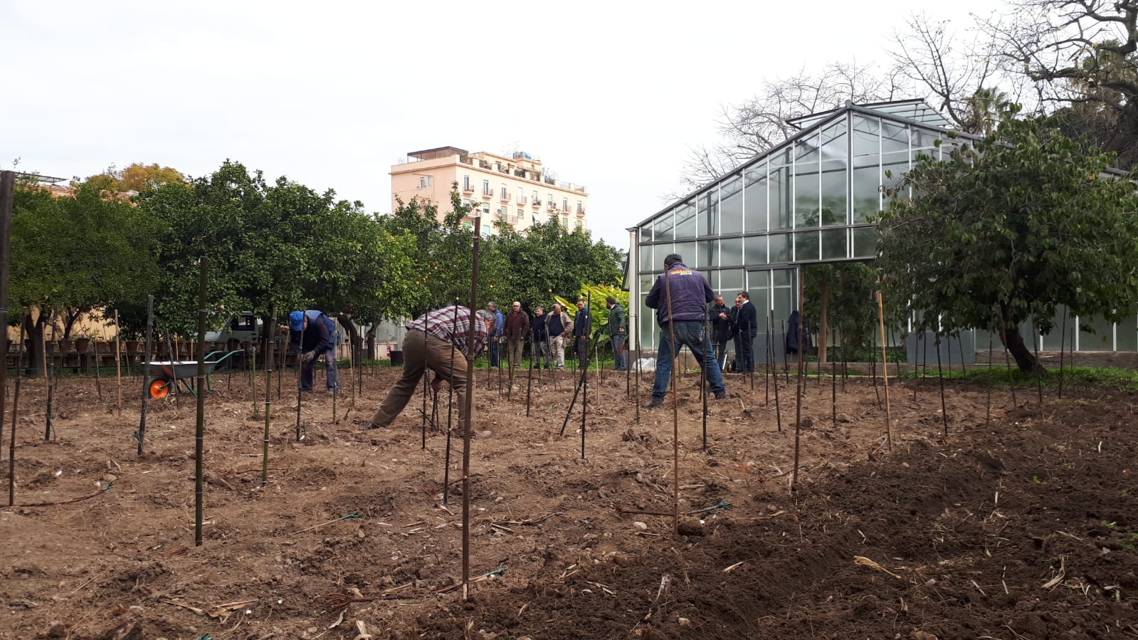 Orto botanico, piantumazione alla Vigna del Gallo