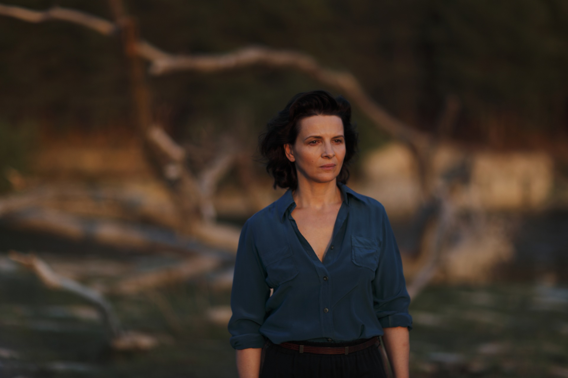 Juliette Binoche in L'Attesa