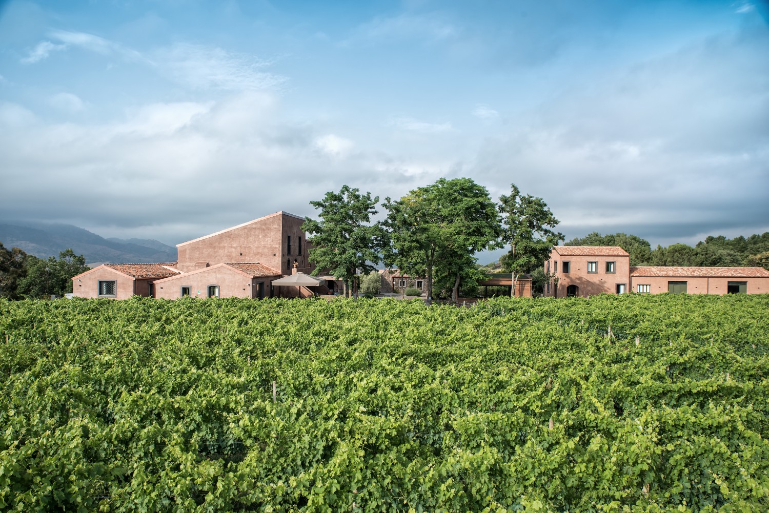 La Tenuta di Cavanera Etnea, in contrada Verzella