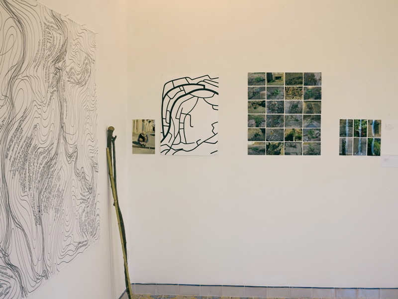 Installazione di Lois Weinberger