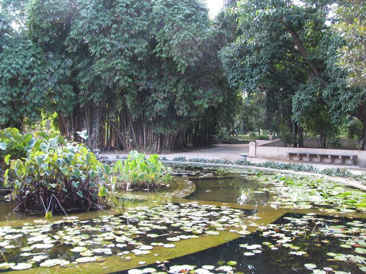 Palermo, Orto Botanico