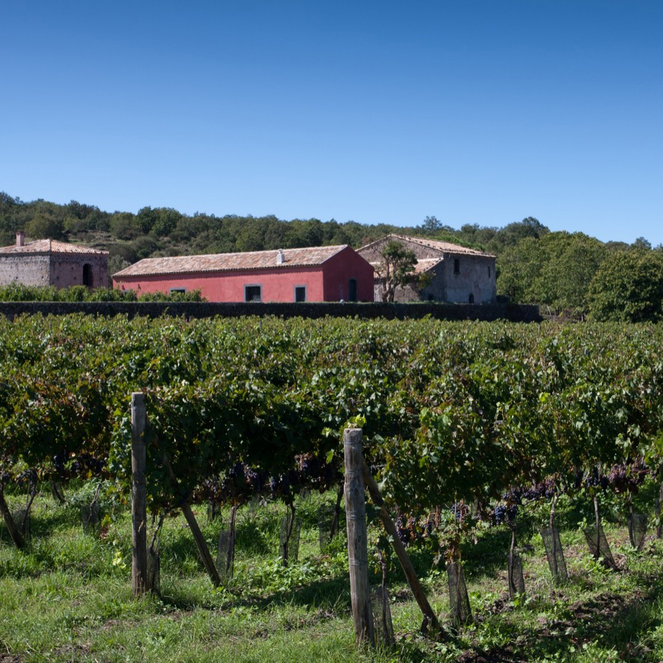 La cantina Feudo di Mezzo di Planeta a Passopisciaro