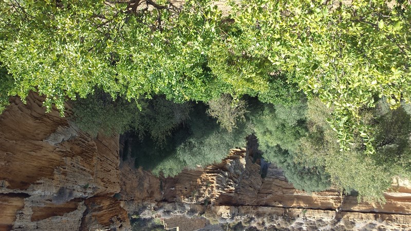 Agrigento, il Giardino botanico