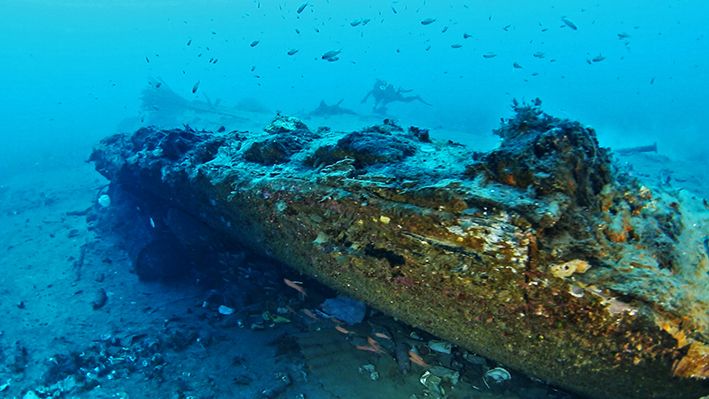Rinvenuto nel porto di Messina il relitto di un piroscafo in legno del XIX secolo Rinvenuto nel porto di Messina il relitto di un piroscafo in legno del XIX secolo
