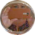 Daniela Robberto 's Author avatar
