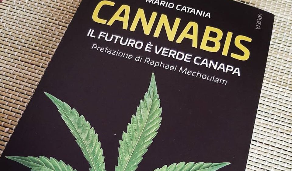 Tutto quello che avreste voluto sapere sulla cannabis