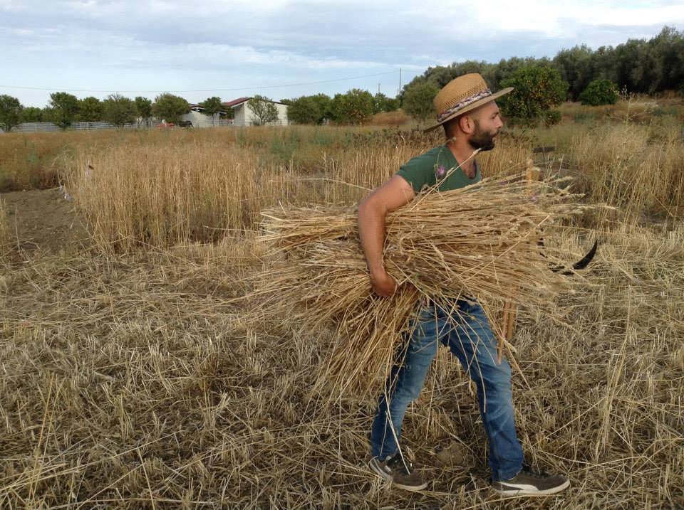 A Sciddicuni sogni e sudore di Emanuele Feltri: «La terra è condivisione e conoscenza delle tradizioni della Sicilia»