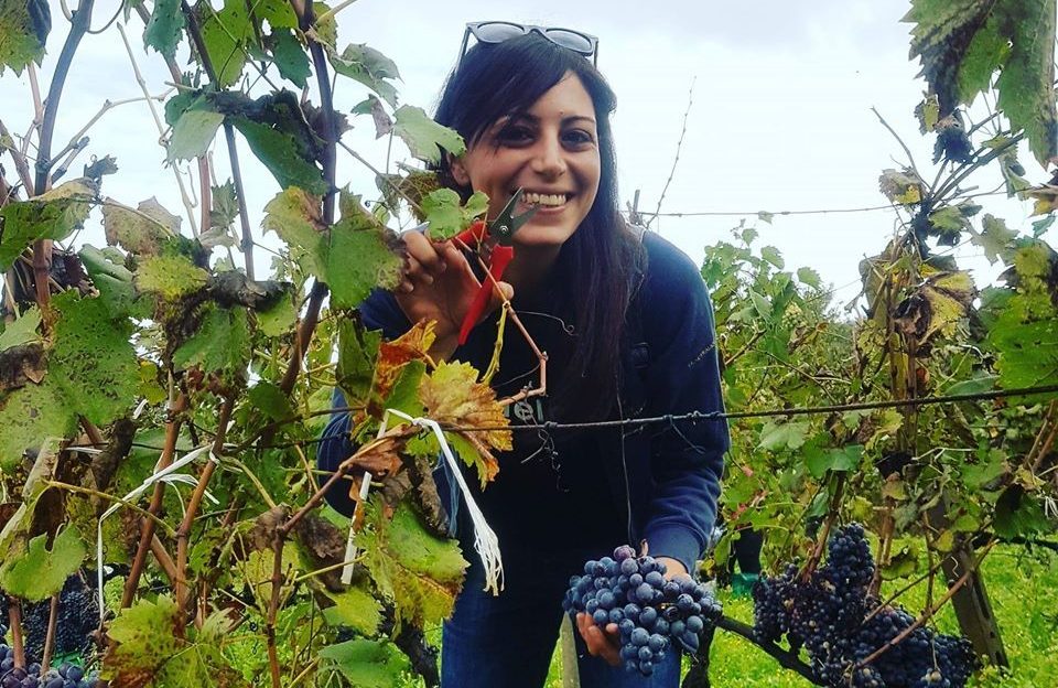 I produttori del vino della Sicilia orientale al tempo del Coronavirus: «La natura non si ferma»