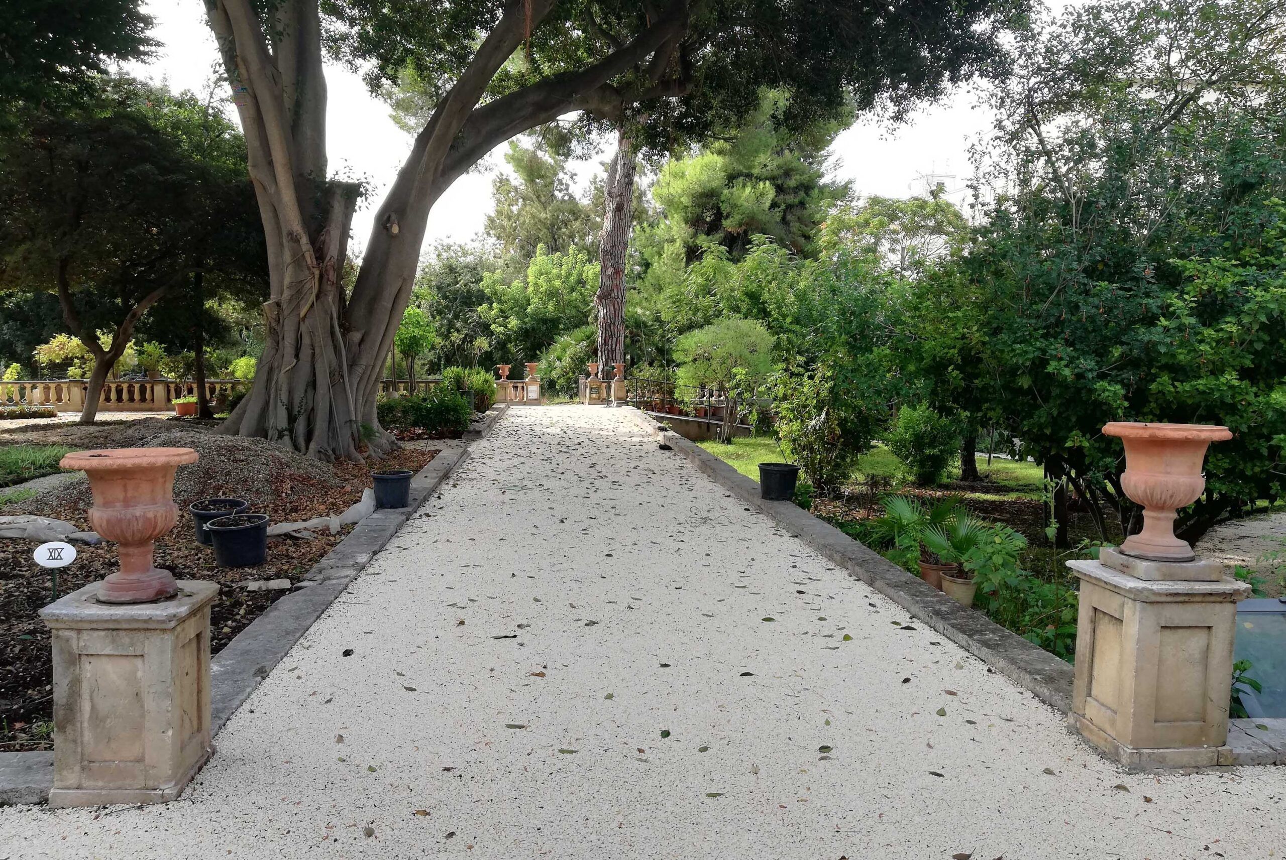 L’Orto Botanico di Catania è ora accessibile a tutti