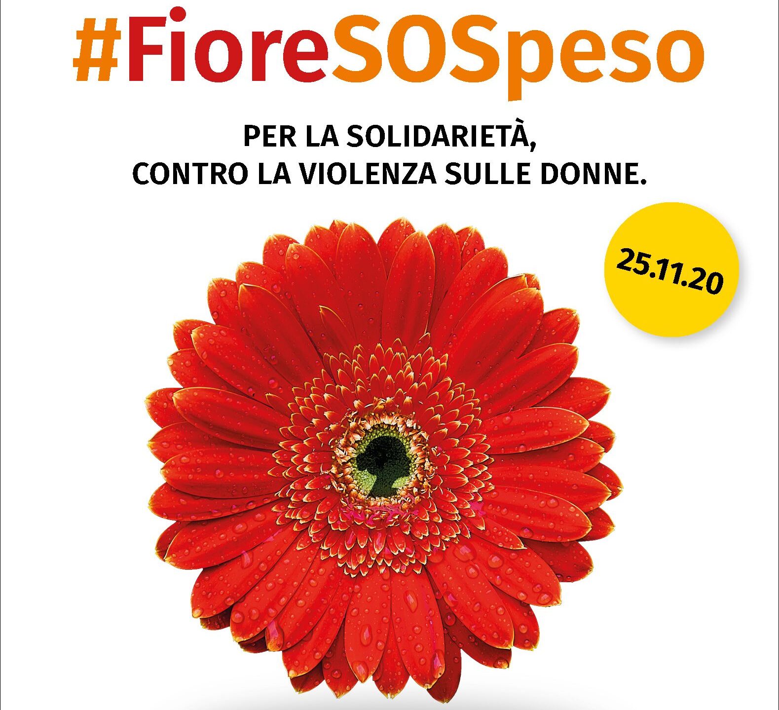 “Un fiore SOSpeso”, la campagna dei fiorai che rifiutano la violenza sulle donne