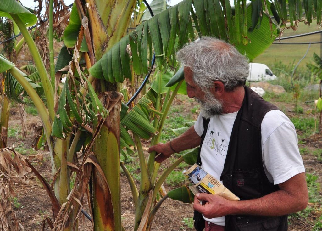 Il Giardino delle Bio-Diversità: la comunità multiculturale che ha scelto di vivere green