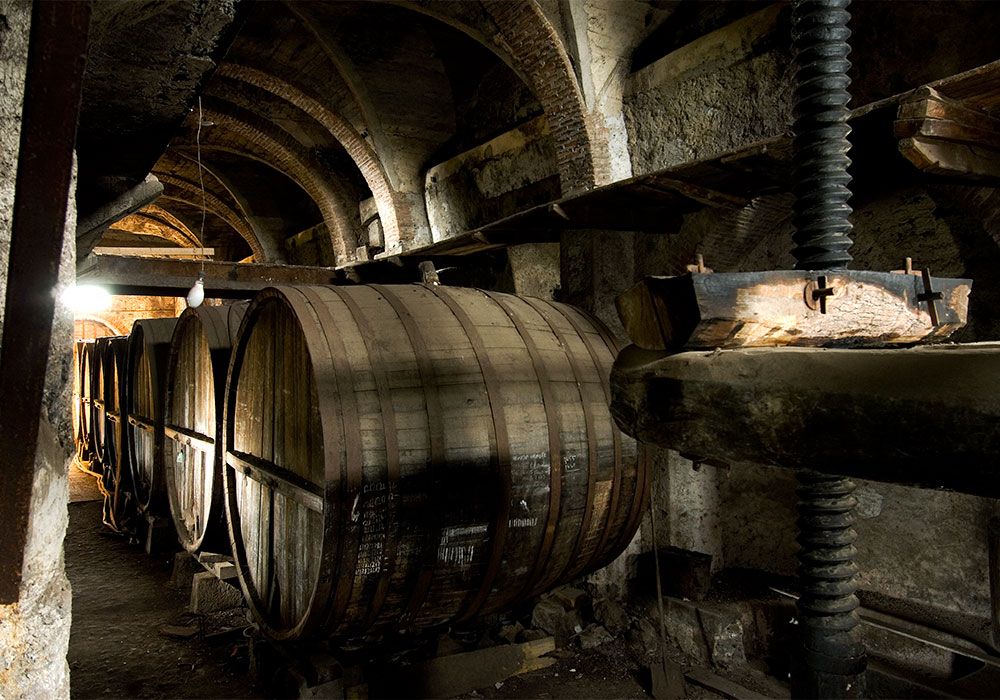 Cresce la produzione di Spumanti Metodo Classico dell’Etna Cresce la produzione di Spumanti Metodo Classico dell’Etna