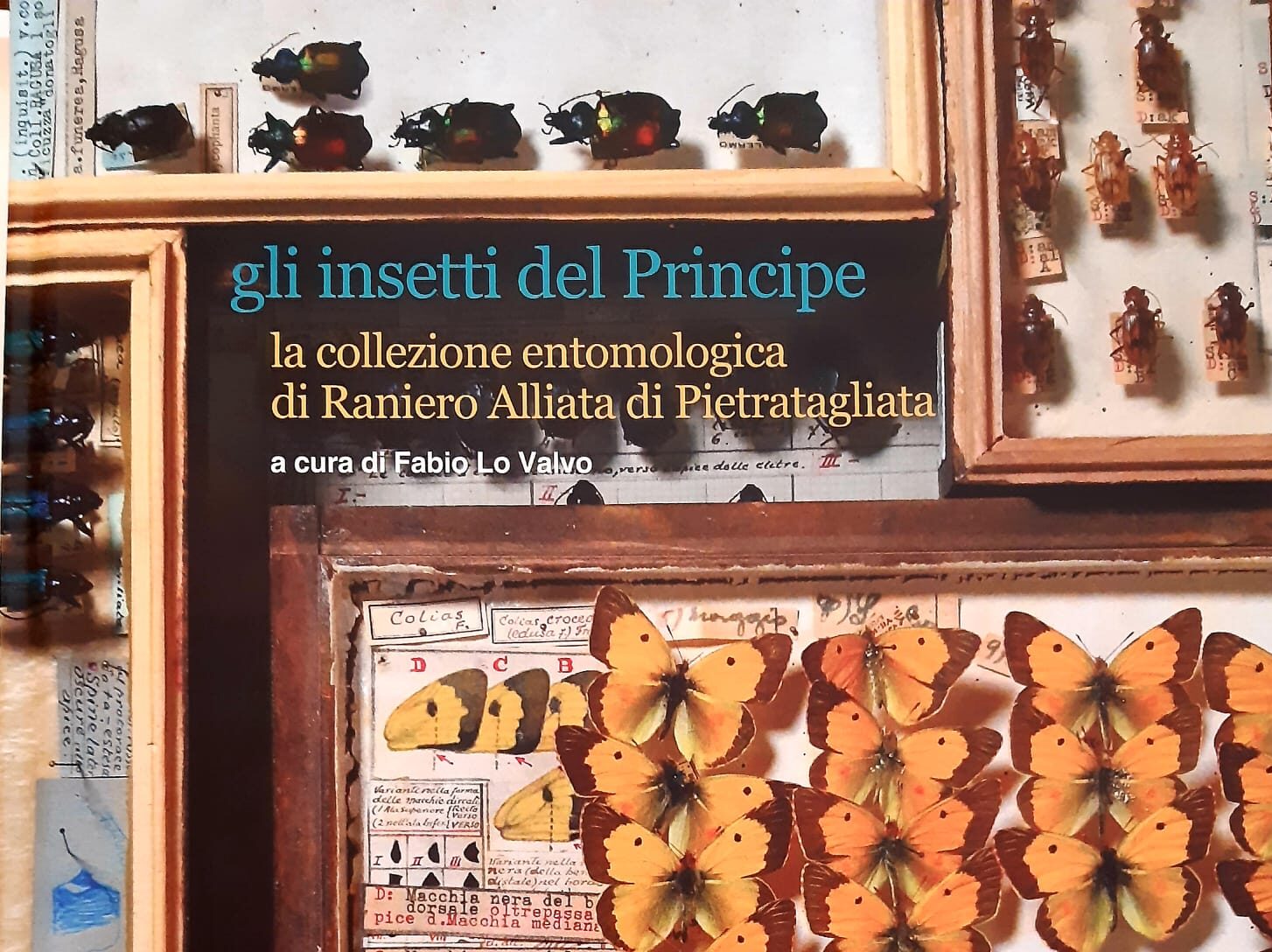 In un unico libro la collezione del Principe Raniero Alliata di Pietragliata