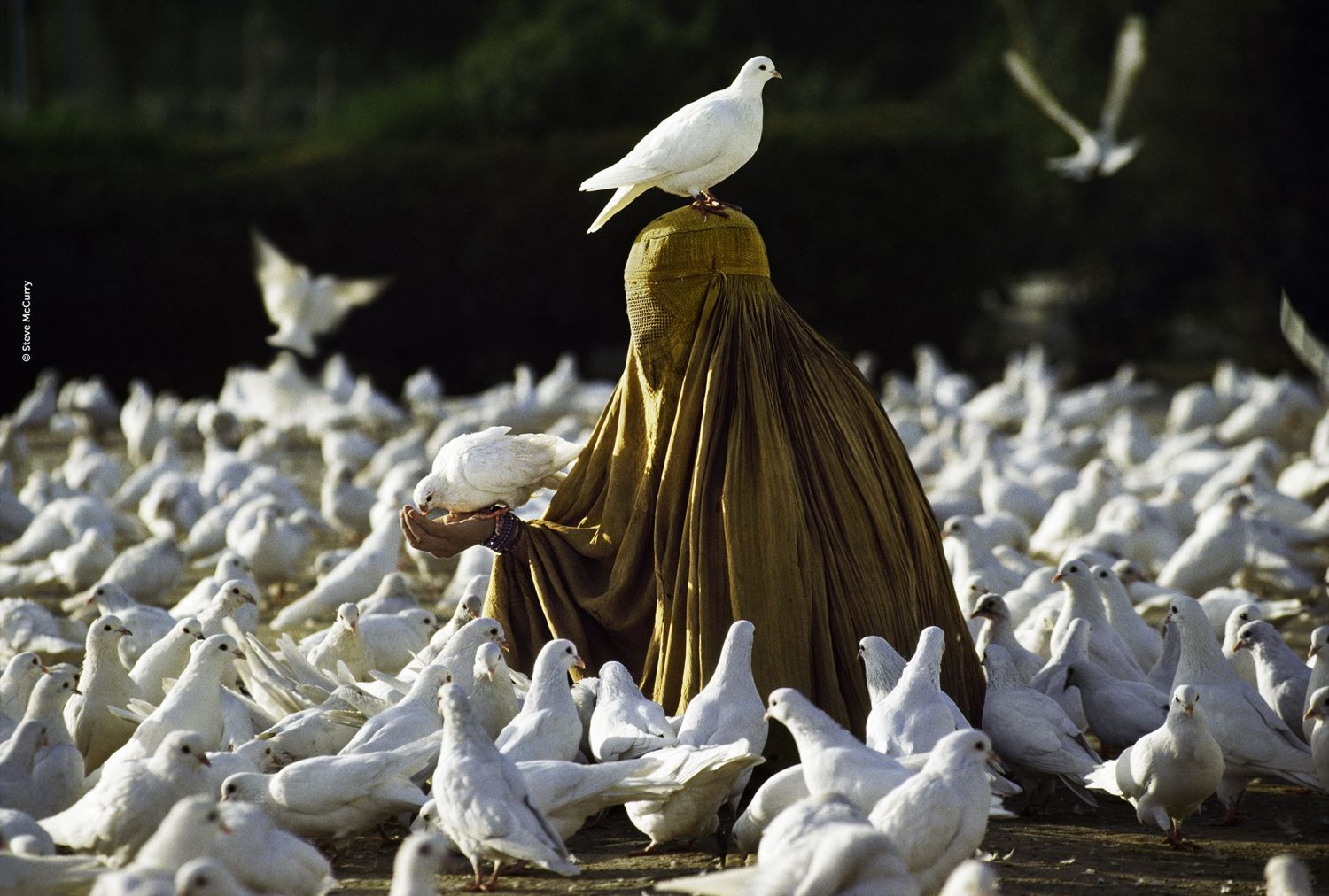 For Freedom, a Palermo le foto di Steve McCurry per le donne afgane