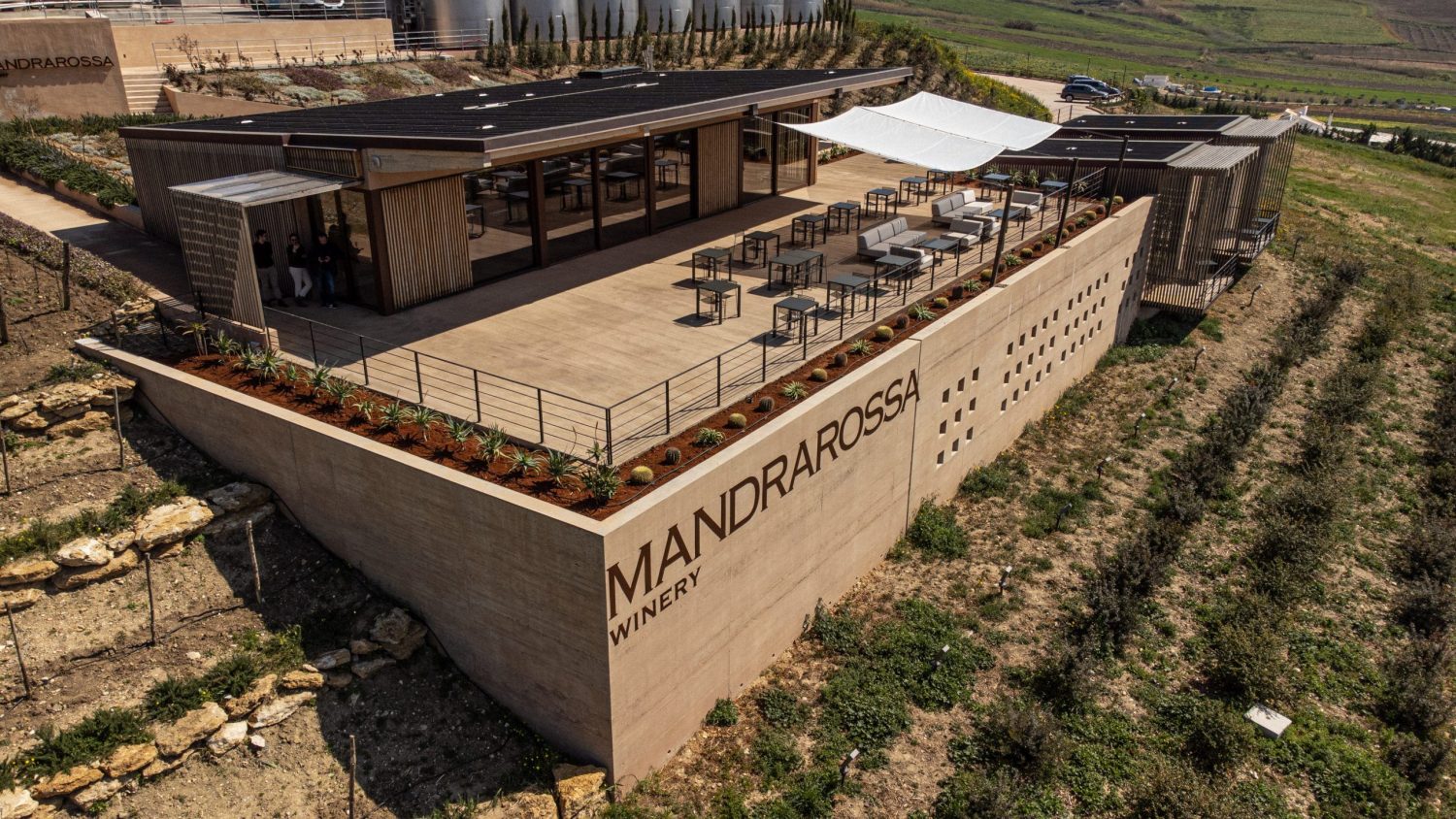 mandrarossa vineyard tour 2022