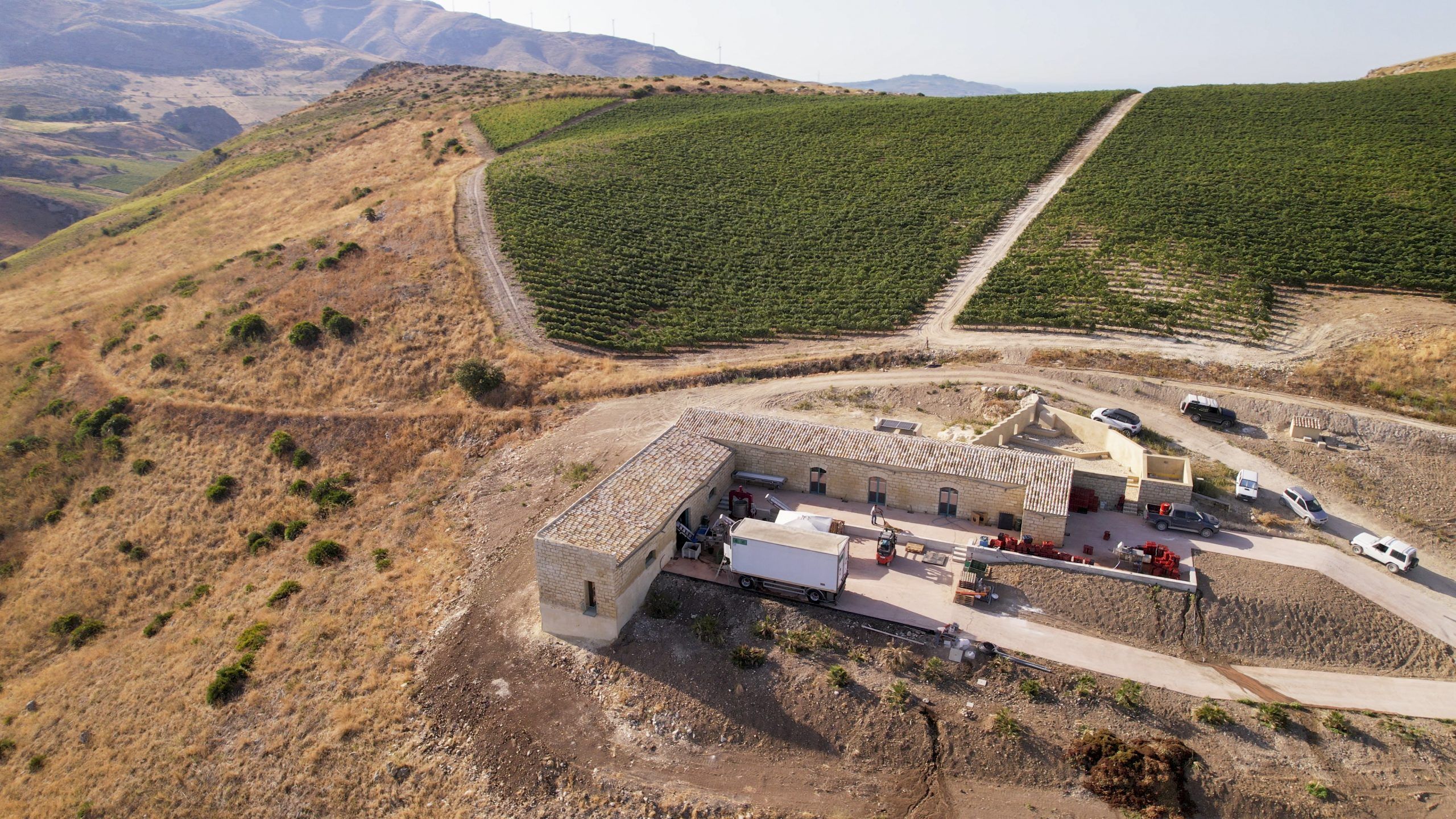 Monte Cirami, la casa dei vini rossi di qualità di Planeta