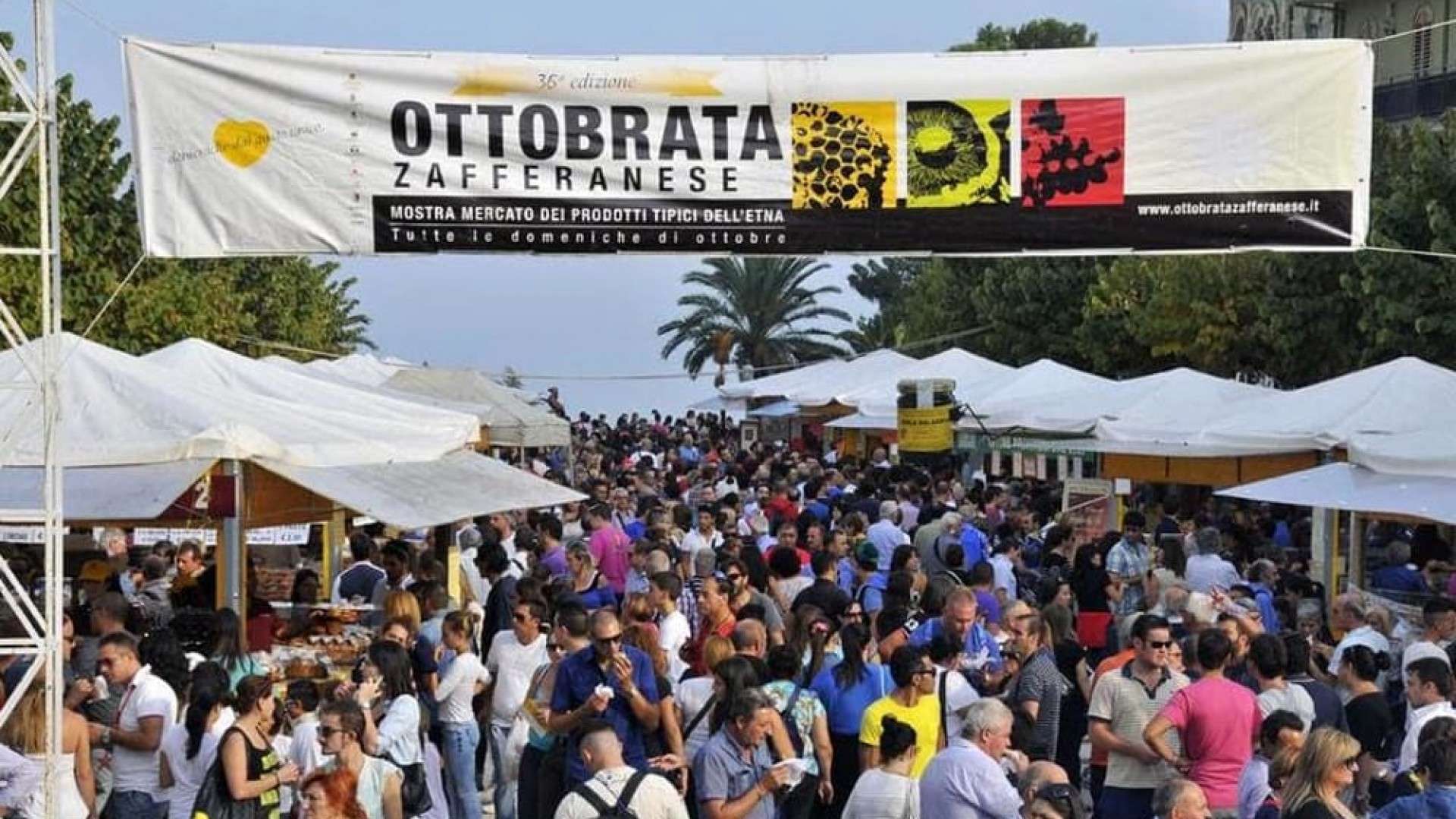 Uva, mele, miele e funghi: è tutto pronto per la 46ª Ottobrata Zafferanese